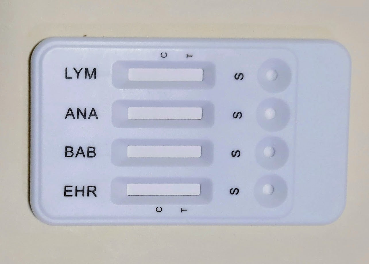 EHR+ANA+BAB+LYME (Ehrlichia Anaplasma Babesia LYME) - A Pet Care - (1kit)