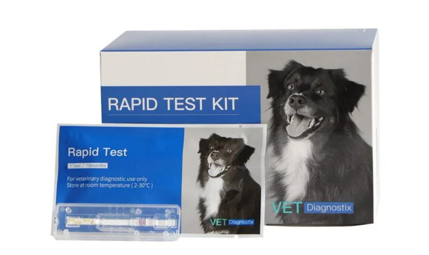 Giardia Lamblia Caninos - Vet Diagnostix (1 kit)