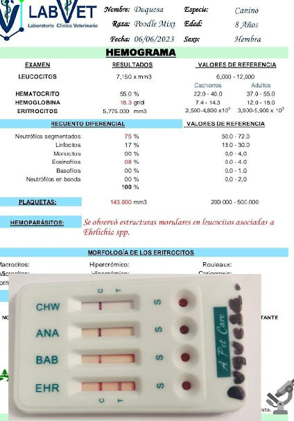 EHR+ANA+BAB+CHW (Ehrlichia Anaplasma Babesia Dirofilaria) - A Pet Care - (1kit)