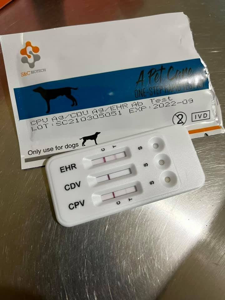 CDV+CPV+EHR (Distemper + Parvovirus  + Ehrlichia)