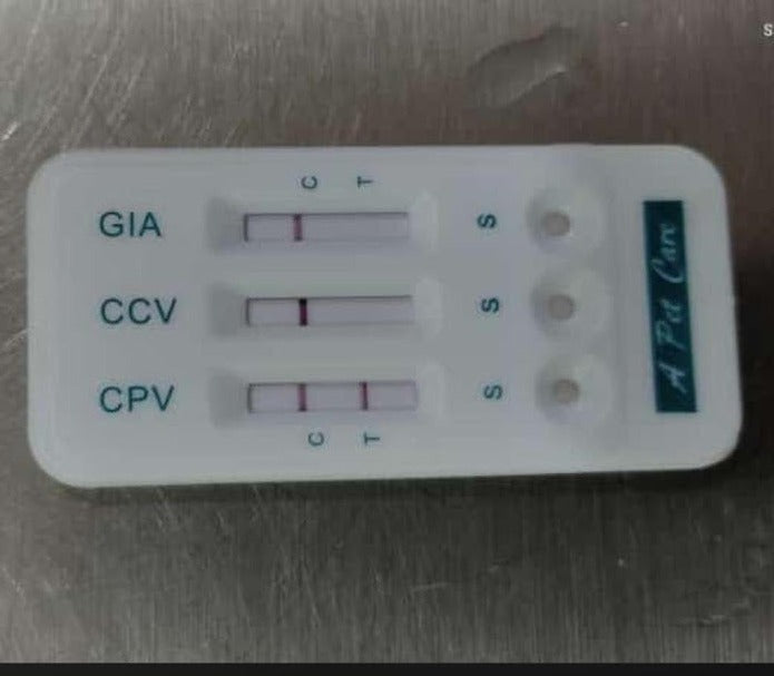 CCV CPV GIA (Coronavirus Parvovirus Giardia) - Pet Care (1 Kit)