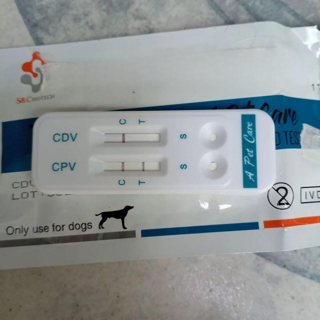 CPV CDV (Parvo Distemper) - Pet Care (1 kit)